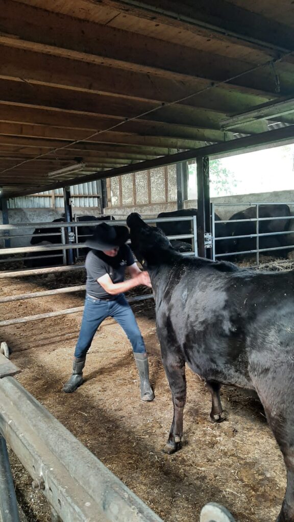 ecbd4edc 3779 48ff b2a1 7335dc0c6289